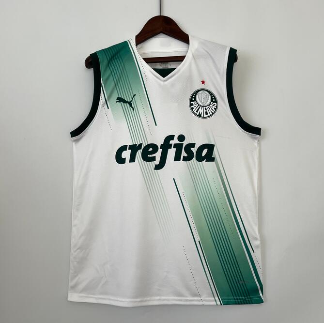 Palmeiras Away Vest Soccer Jersey 2023/24